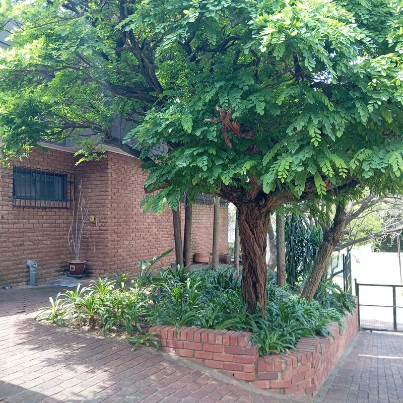 To Let 3 Bedroom Property for Rent in Waterkloof Ridge Gauteng