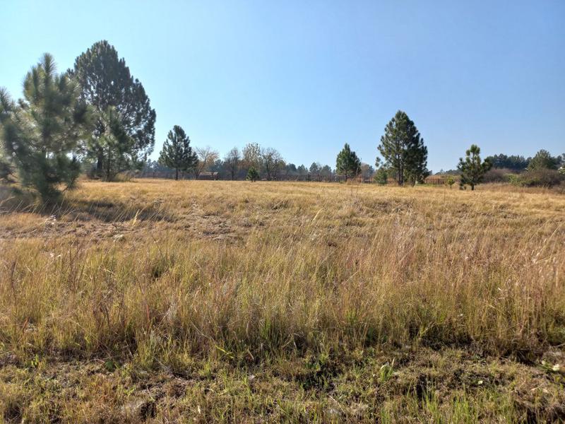 0 Bedroom Property for Sale in Rietfontein Gauteng