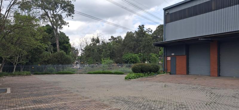 To Let Commercial Property for Rent in Bryanston Gauteng