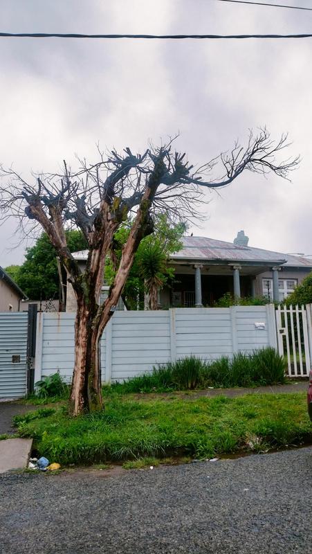 3 Bedroom Property for Sale in Malvern Gauteng