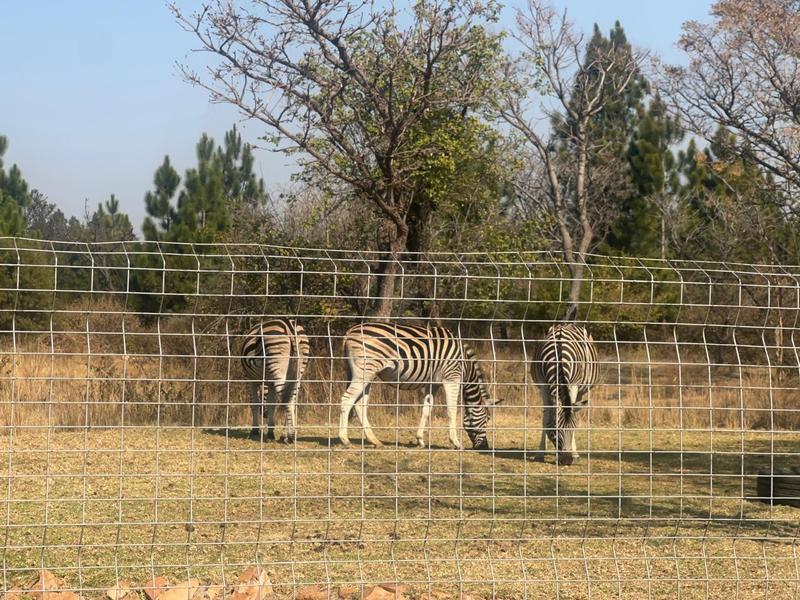 0 Bedroom Property for Sale in Roodeplaat Gauteng