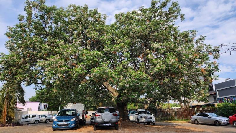 To Let Commercial Property for Rent in Rivonia Gauteng