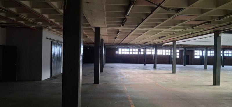 To Let Commercial Property for Rent in Industria Gauteng