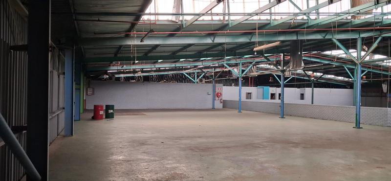 To Let Commercial Property for Rent in Industria Gauteng