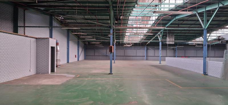 To Let Commercial Property for Rent in Industria Gauteng