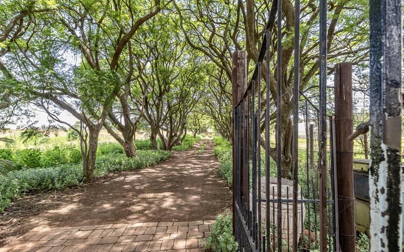 4 Bedroom Property for Sale in Sterkfontein Gauteng