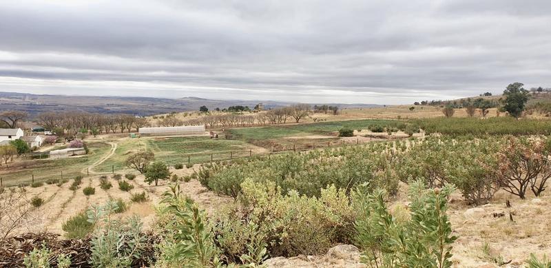 4 Bedroom Property for Sale in Sterkfontein Gauteng