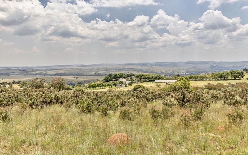 4 Bedroom Property for Sale in Sterkfontein Gauteng