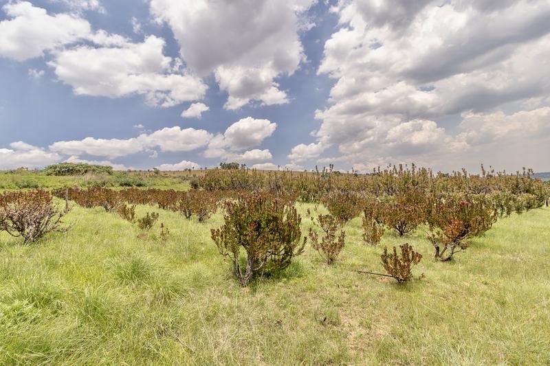 4 Bedroom Property for Sale in Sterkfontein Gauteng
