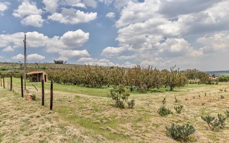 4 Bedroom Property for Sale in Sterkfontein Gauteng