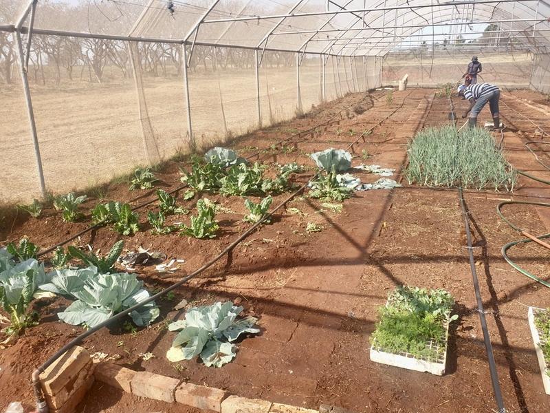 4 Bedroom Property for Sale in Sterkfontein Gauteng