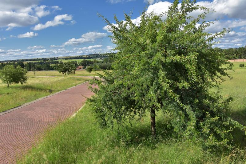 0 Bedroom Property for Sale in Kyalami Ah Gauteng