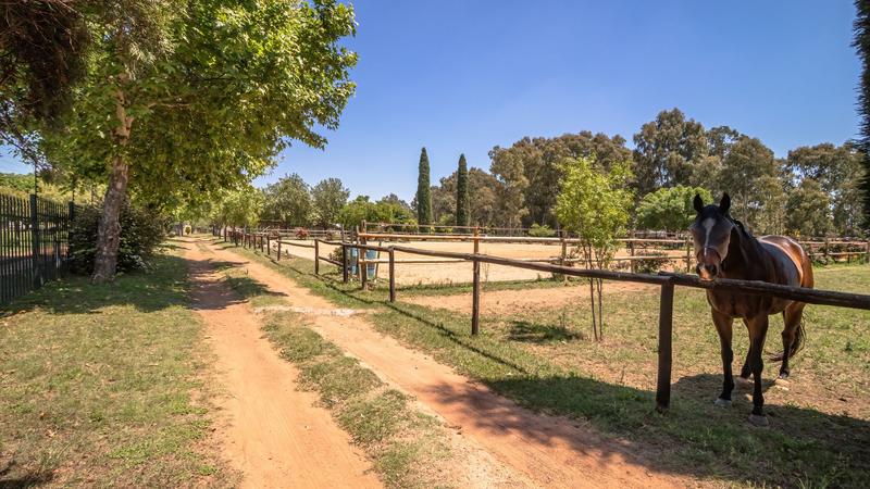 4 Bedroom Property for Sale in Benoni AH Gauteng