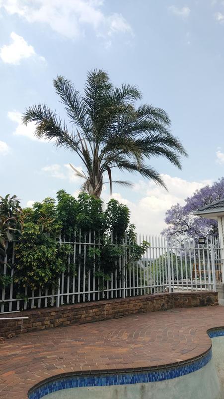 3 Bedroom Property for Sale in Glenvista Gauteng