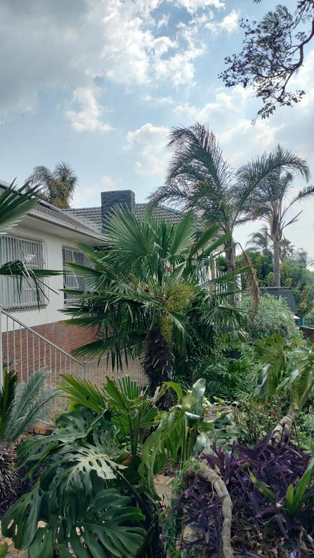 3 Bedroom Property for Sale in Glenvista Gauteng
