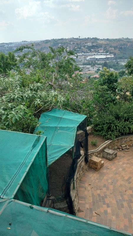 3 Bedroom Property for Sale in Glenvista Gauteng