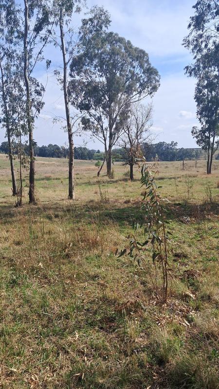 5 Bedroom Property for Sale in Nigel Gauteng