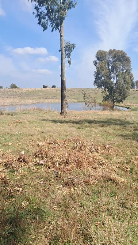 5 Bedroom Property for Sale in Nigel Gauteng