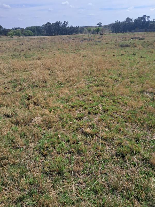 5 Bedroom Property for Sale in Nigel Gauteng