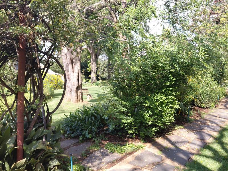 6 Bedroom Property for Sale in Illovo Gauteng