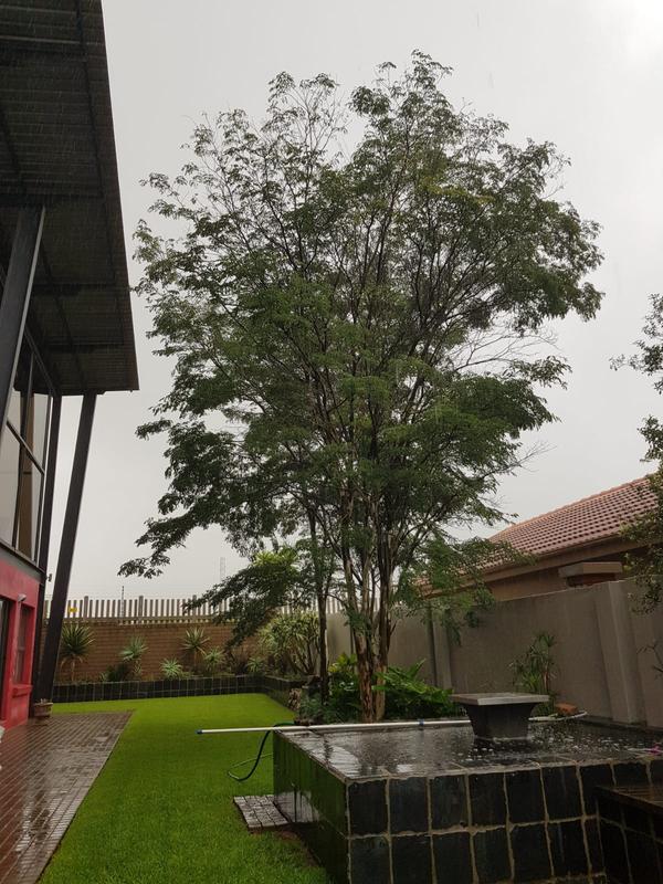 4 Bedroom Property for Sale in Midlands Estate Gauteng