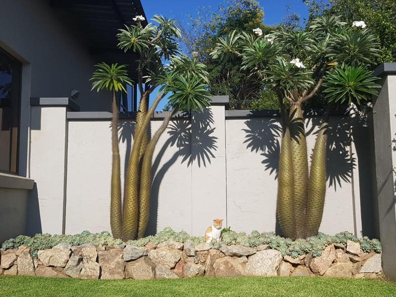 4 Bedroom Property for Sale in Midlands Estate Gauteng