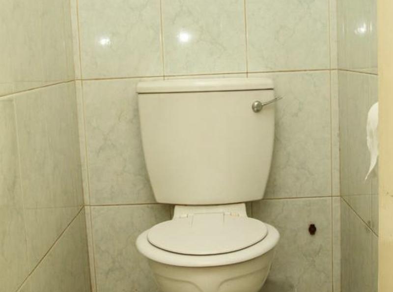 To Let 3 Bedroom Property for Rent in Primrose Hill Gauteng