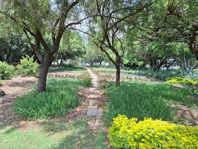 To Let 3 Bedroom Property for Rent in Fourways Gauteng