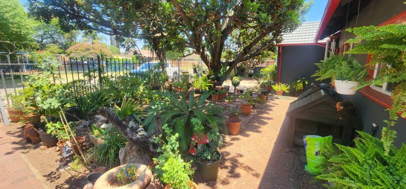 3 Bedroom Property for Sale in Wolmer Gauteng