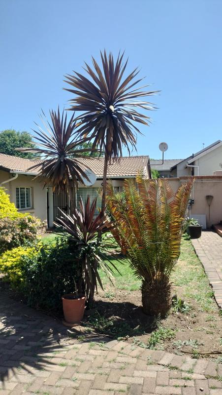 3 Bedroom Property for Sale in Oakdene Gauteng
