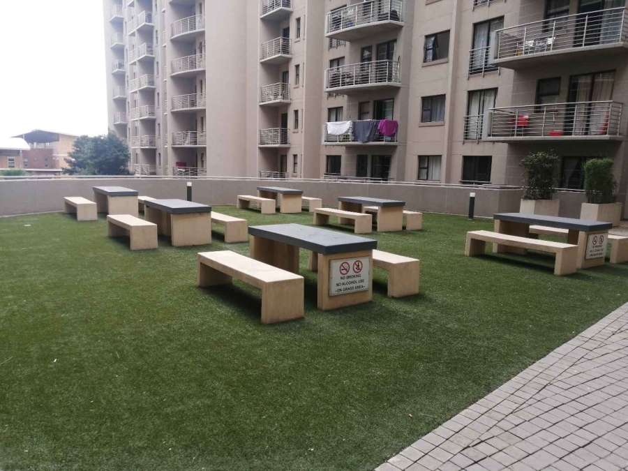 To Let 0 Bedroom Property for Rent in Hatfield Gauteng