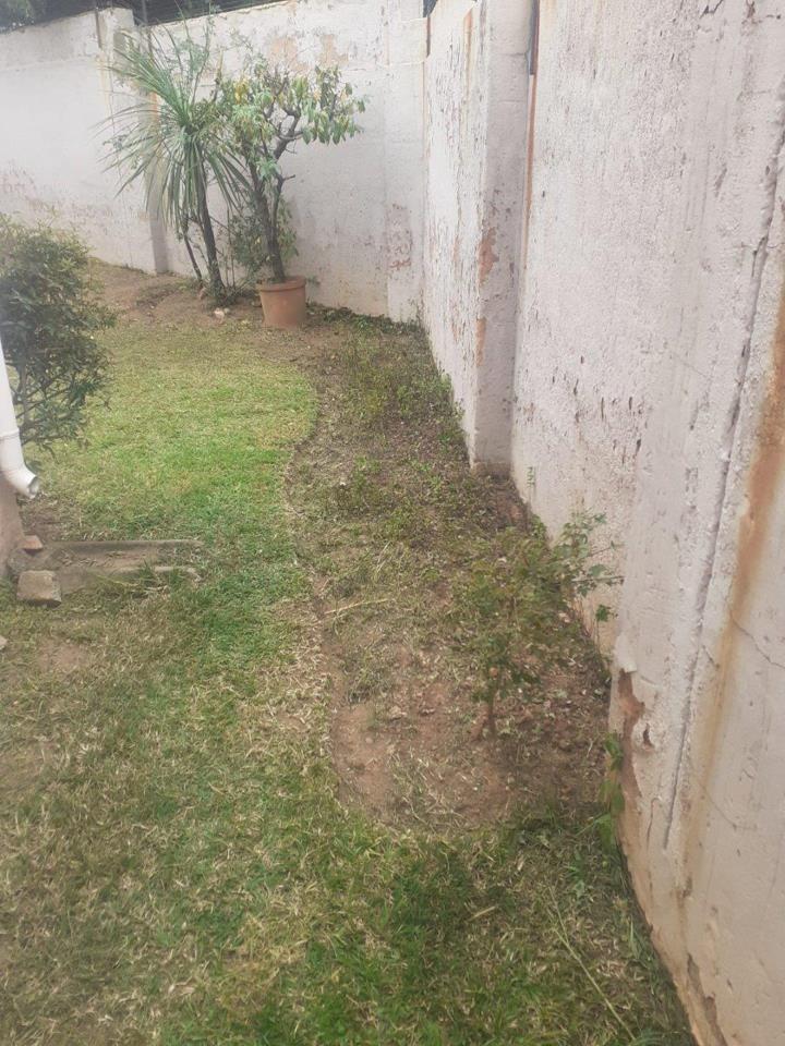 To Let 1 Bedroom Property for Rent in Bromhof Gauteng