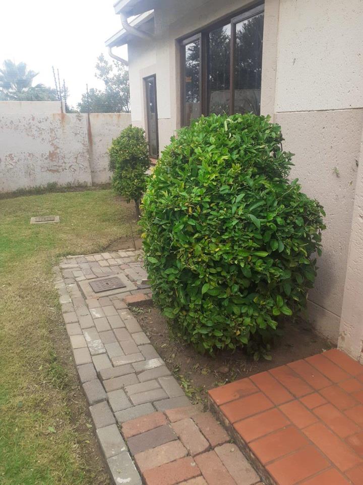 To Let 1 Bedroom Property for Rent in Bromhof Gauteng