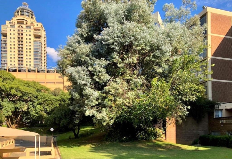 To Let 1 Bedroom Property for Rent in Sandton Central Gauteng