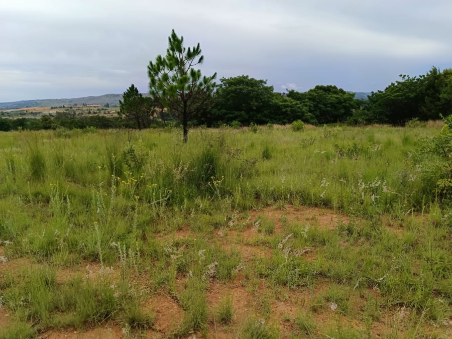 0 Bedroom Property for Sale in Muldersdrift Gauteng