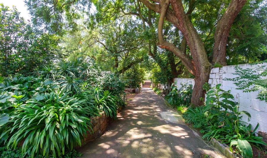 To Let 1 Bedroom Property for Rent in Observatory Gauteng