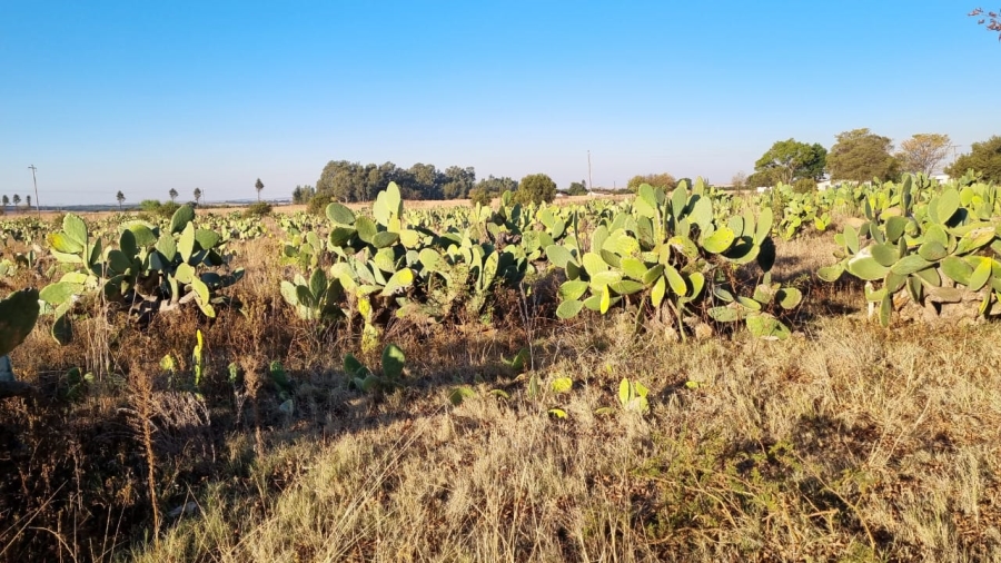 0 Bedroom Property for Sale in Bronkhorstspruit Rural Gauteng