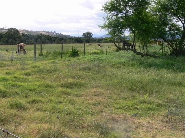 0 Bedroom Property for Sale in Riversdale Gauteng