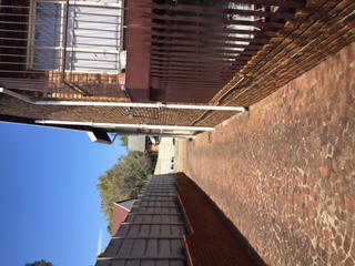 To Let 1 Bedroom Property for Rent in Windsor East Gauteng