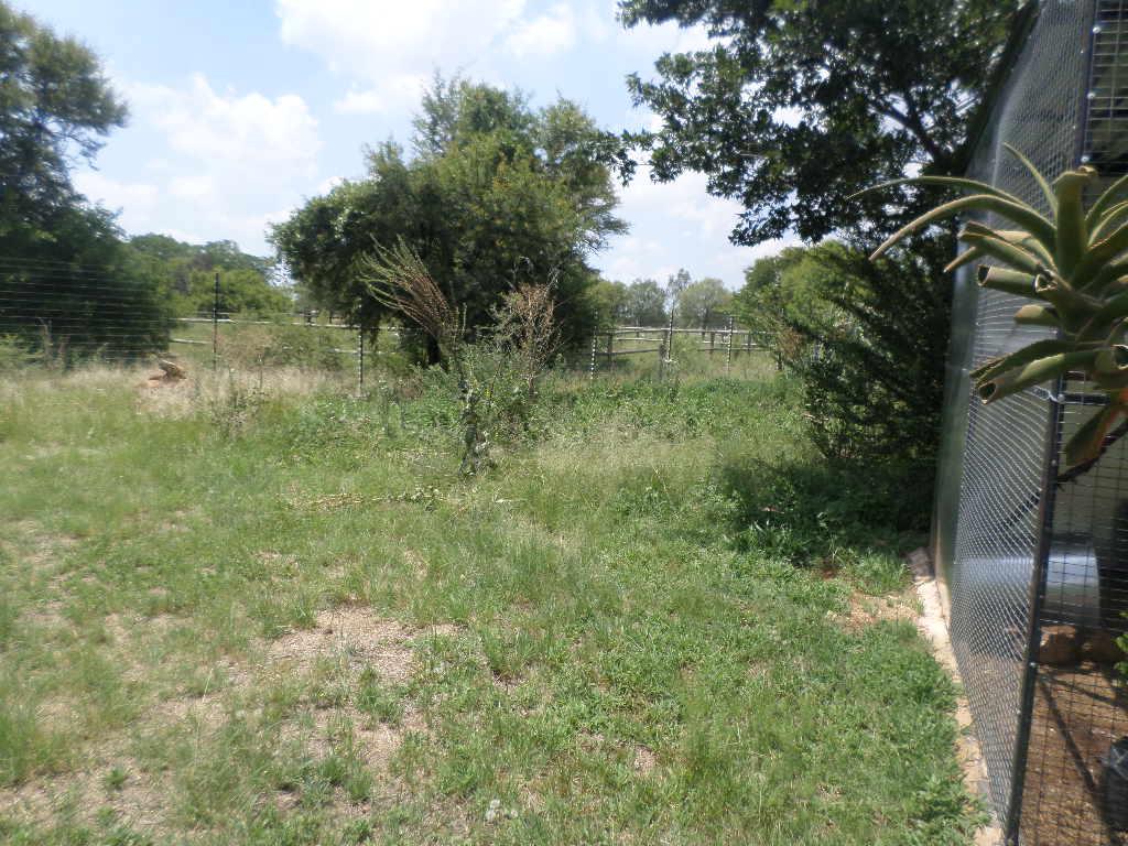 0 Bedroom Property for Sale in Mooiplaas Gauteng