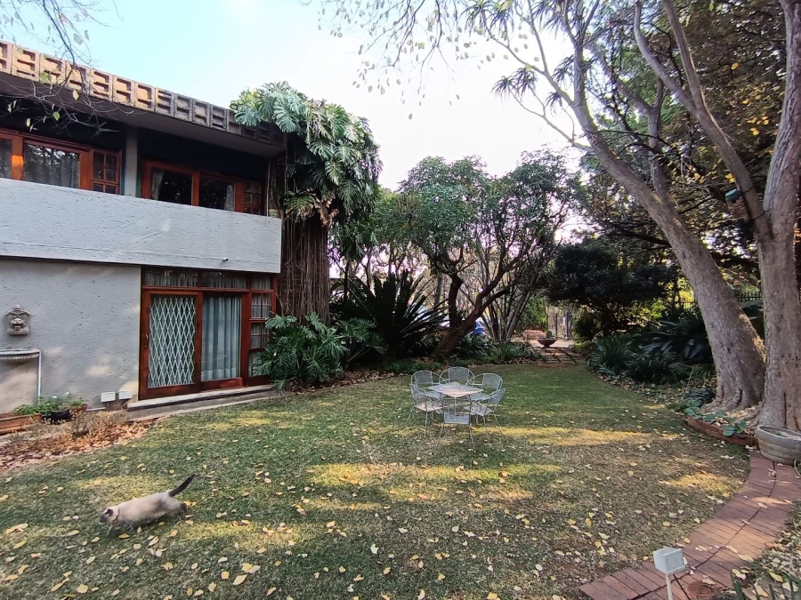 To Let 5 Bedroom Property for Rent in Muckleneuk Gauteng