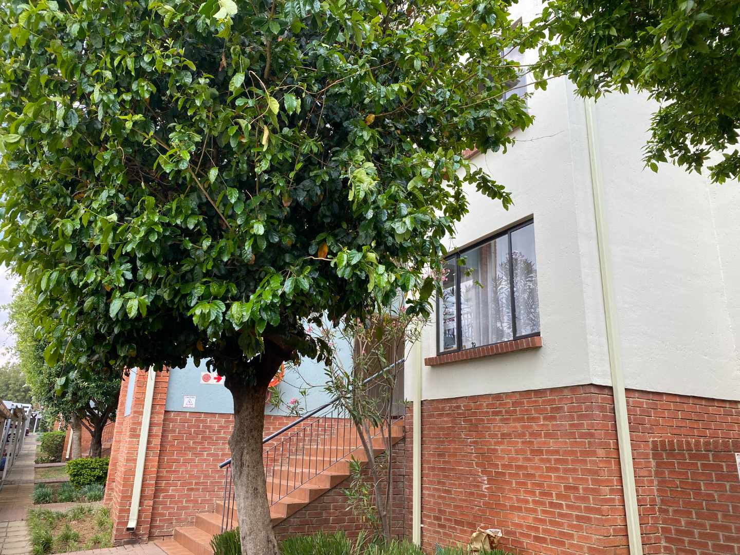 2 Bedroom Property for Sale in Greenstone Hill Gauteng