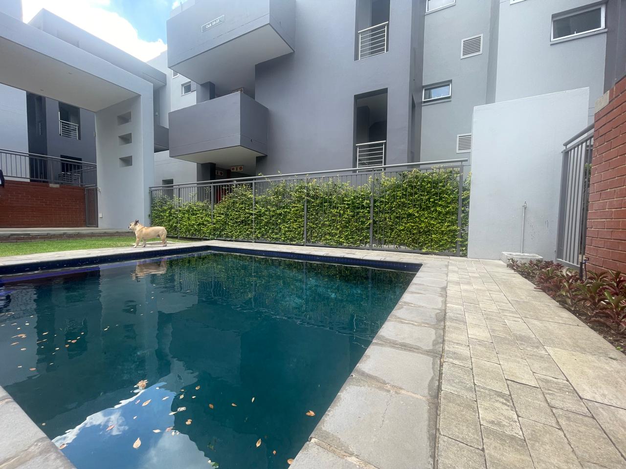 To Let 2 Bedroom Property for Rent in Morningside Gauteng