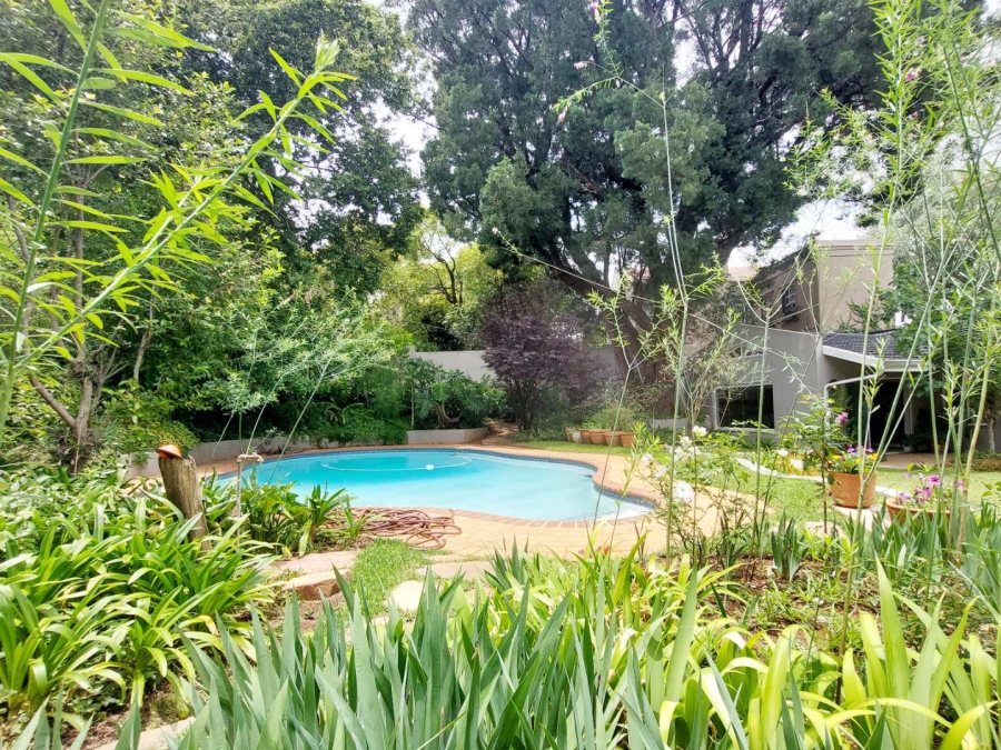 To Let 3 Bedroom Property for Rent in Parktown North Gauteng