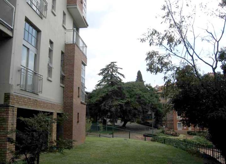 To Let 1 Bedroom Property for Rent in Houghton Gauteng