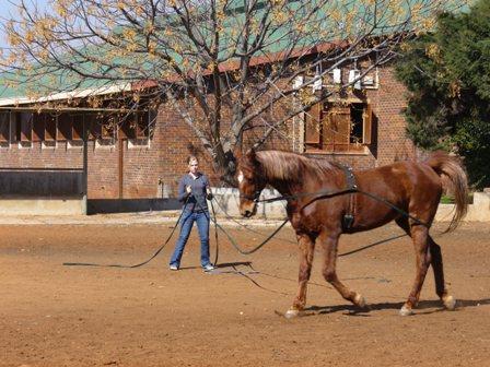 0 Bedroom Property for Sale in Waterlake Farm Lifestyle Estate Gauteng