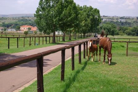 0 Bedroom Property for Sale in Waterlake Farm Lifestyle Estate Gauteng