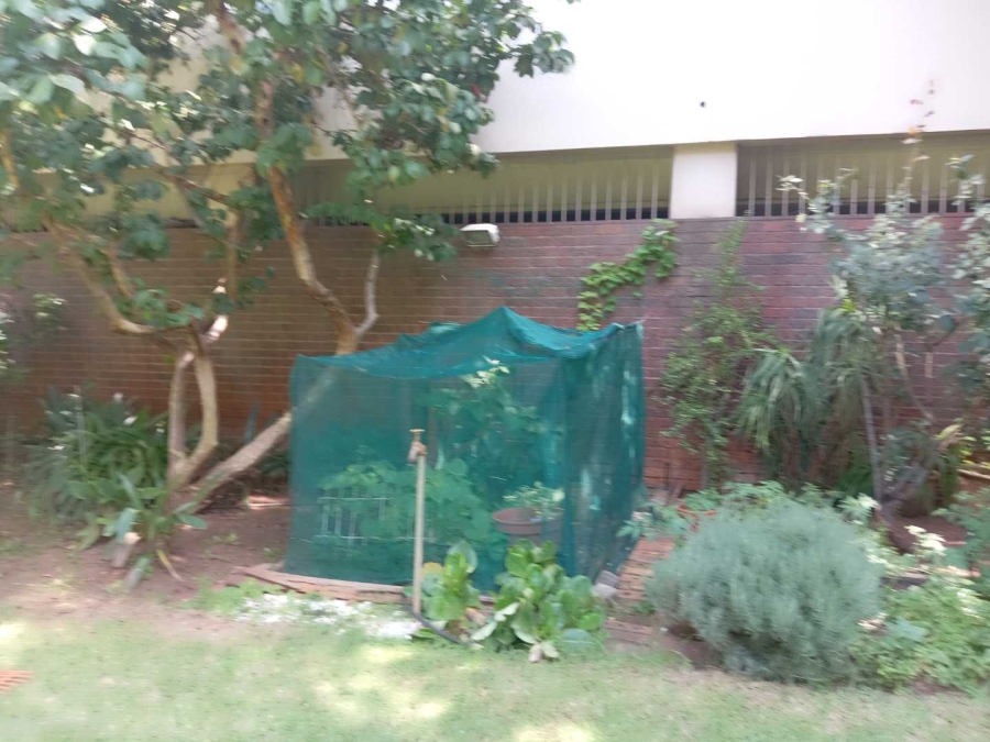 To Let 3 Bedroom Property for Rent in Killarney Gauteng