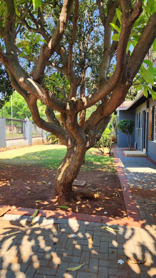 To Let 3 Bedroom Property for Rent in The Orchards Gauteng