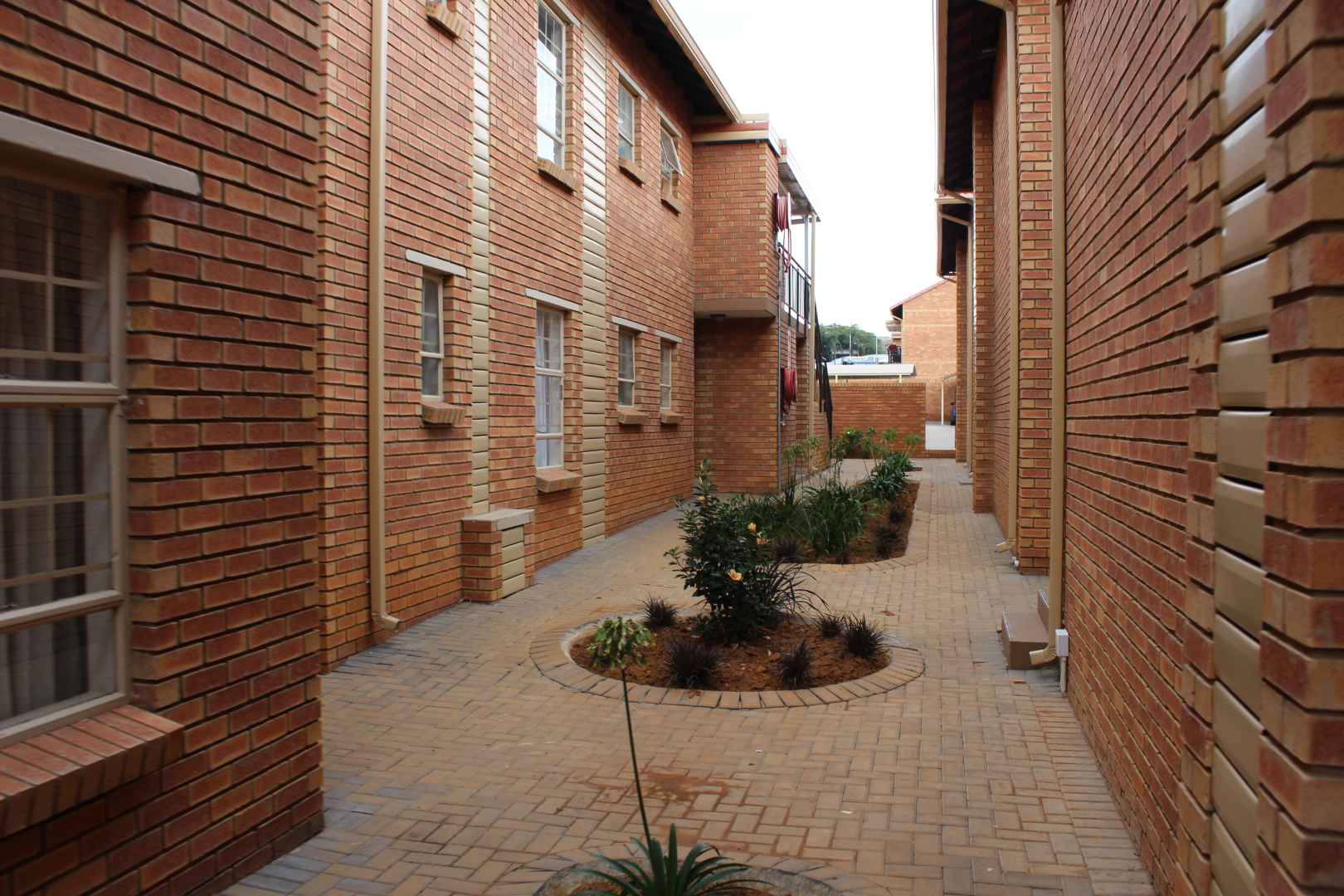 To Let 3 Bedroom Property for Rent in Elardus Park Gauteng